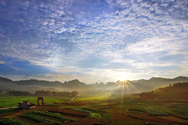 乡村早晨